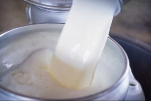Dairy Giants Settle $34.4 Million Price-Fixing Case