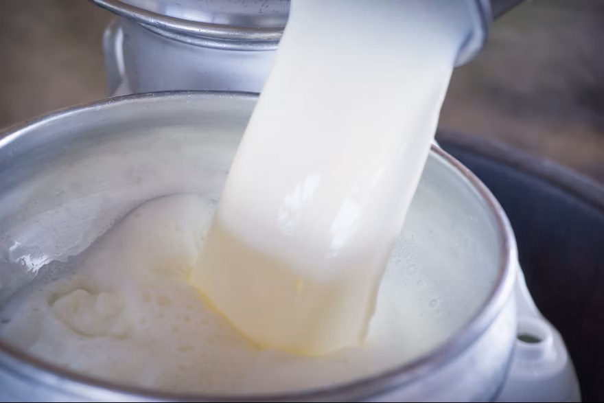 Dairy Giants Settle $34.4 Million Price-Fixing Case