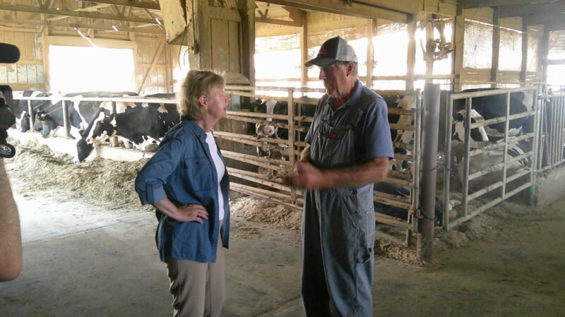 Farmer Exposes Immigration Failure A Dairy Crisis