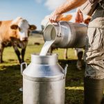 Florida E. Coli Outbreak Linked to Raw Milk Consumption