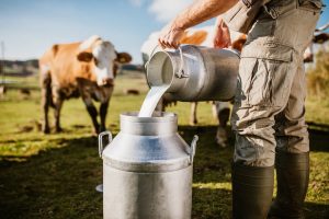Florida E. Coli Outbreak Linked to Raw Milk Consumption