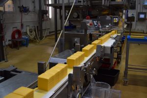Fonterra's Bold Cheese Move Eltham Plant Expands