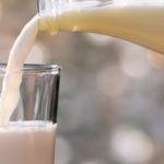 Global Milk Surge Threatens Dairy Market Stability