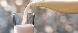 Global Milk Surge Threatens Dairy Market Stability
