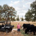 Historic Deal Ends Point Reyes Ranching Era