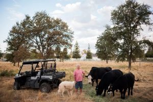 Historic Deal Ends Point Reyes Ranching Era