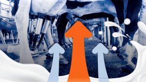 Milk Production Surge What a 3.4 Jump Means