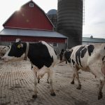 Ohio Raw Milk Debate Heats Up in Statehouse