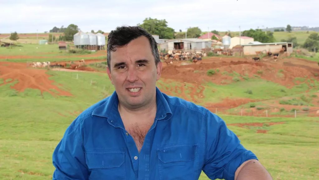 Queensland Dairy Urged to Act on Surplus Calf Issue