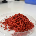 Red Seaweed Dairy
