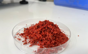 Red Seaweed Dairy