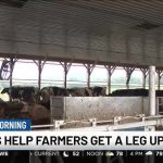 Robotic Milking Boosts Efficiency for Vermont Dairy