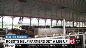 Robotic Milking Boosts Efficiency for Vermont Dairy