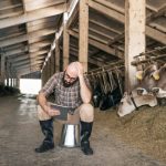 Rural Mental Health Crisis A New Act for Farmers