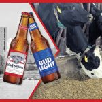 The Future of Dairy Is Brew and Moo