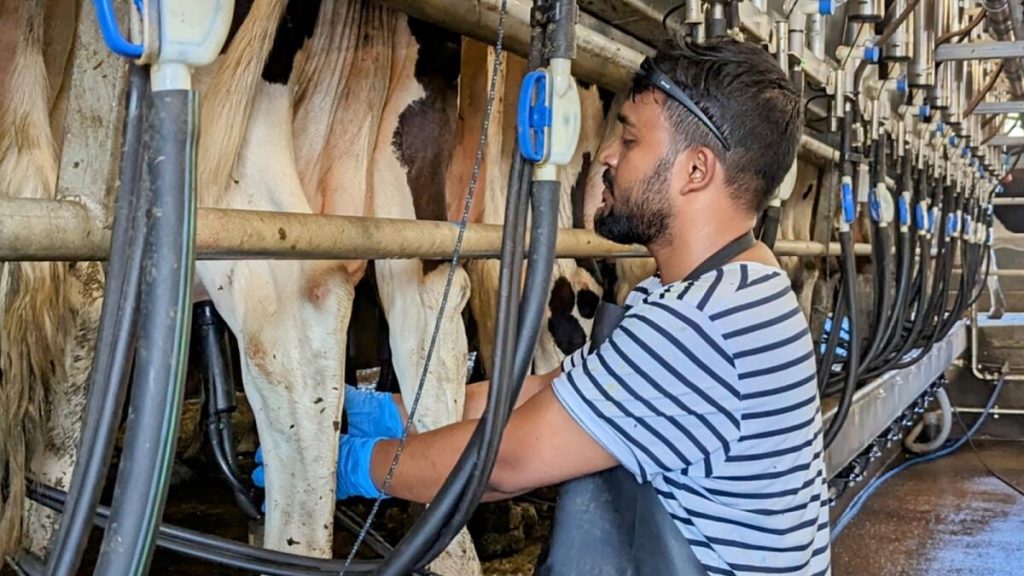 The Future of Milk Less Water, More Solids