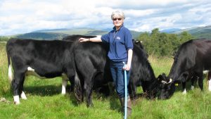 The Last Stand for a Rare Dairy Breed