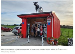 The Raw Milk Revolution Why a Tiny Shed Thrives