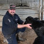 The Rise of the Buffalo A New Dairy Niche