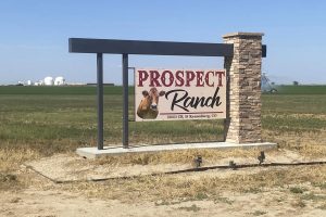 Tragedy Strikes Colorado Dairy Six Dead