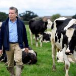 UK Food Security at Risk from Dairy Labor Shortage