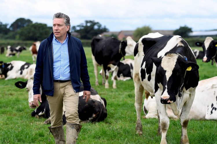UK Food Security at Risk from Dairy Labor Shortage