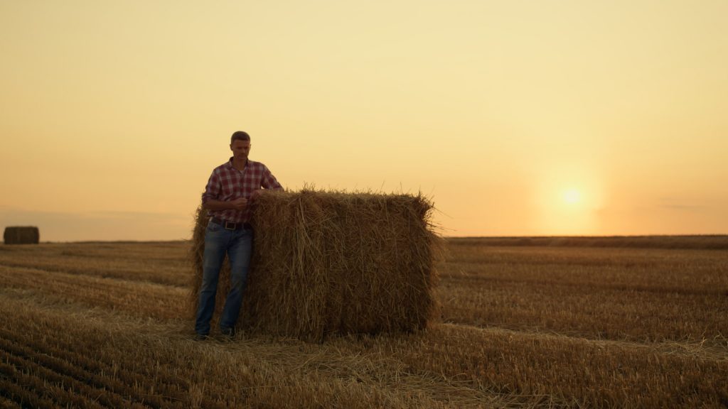 Volatility Is Killing the Dairy Farmer Dream