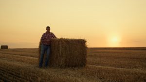 Volatility Is Killing the Dairy Farmer Dream