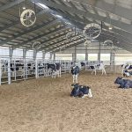 WSU Knott Dairy Center A Modern Makeover