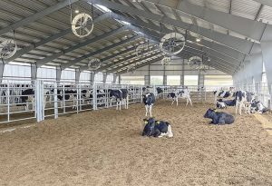 WSU Knott Dairy Center A Modern Makeover