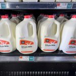 Why Whole Milk Is Making a Comeback