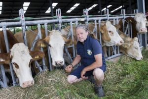Wicklow Farmer Hosts Teagasc Farm Design Event