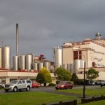 Yili's New Zealand Dairy Assets Post Strong Growth