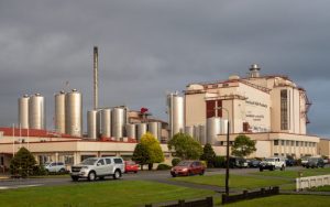 Yili's New Zealand Dairy Assets Post Strong Growth
