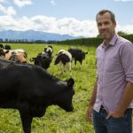 Your Chance to Lead DairyNZ's Future Is Here