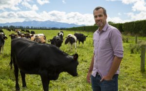 Your Chance to Lead DairyNZ's Future Is Here