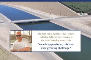 California's Dry Dilemma The Water Wars Are On