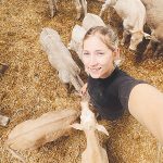 From Animal Science to Dairy Research