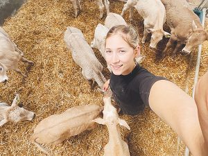 From Animal Science to Dairy Research