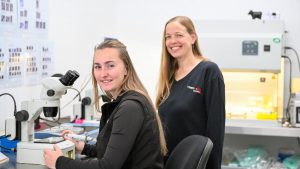 IVF Revolution The Future of Australian Dairy Is Here