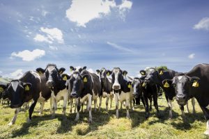 The $4.22B Deal Why Farmers Would Be Nuts Not To