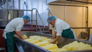 The Cheese Strike A Warning for the Dairy Industry