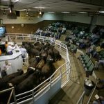 The Costly Challenge to Wisconsin Agribusiness