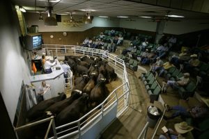 The Costly Challenge to Wisconsin Agribusiness