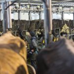 The Lactalis Deal A Win-Win for Dairy Giants