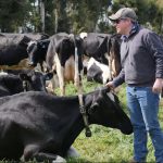 The New Dairy Challenge Adapting to Climate Extremes